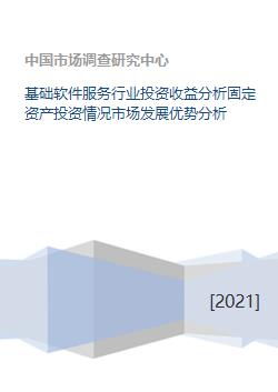 基礎軟件服務行業投資分析 市場優勢、固定資產與發展機遇